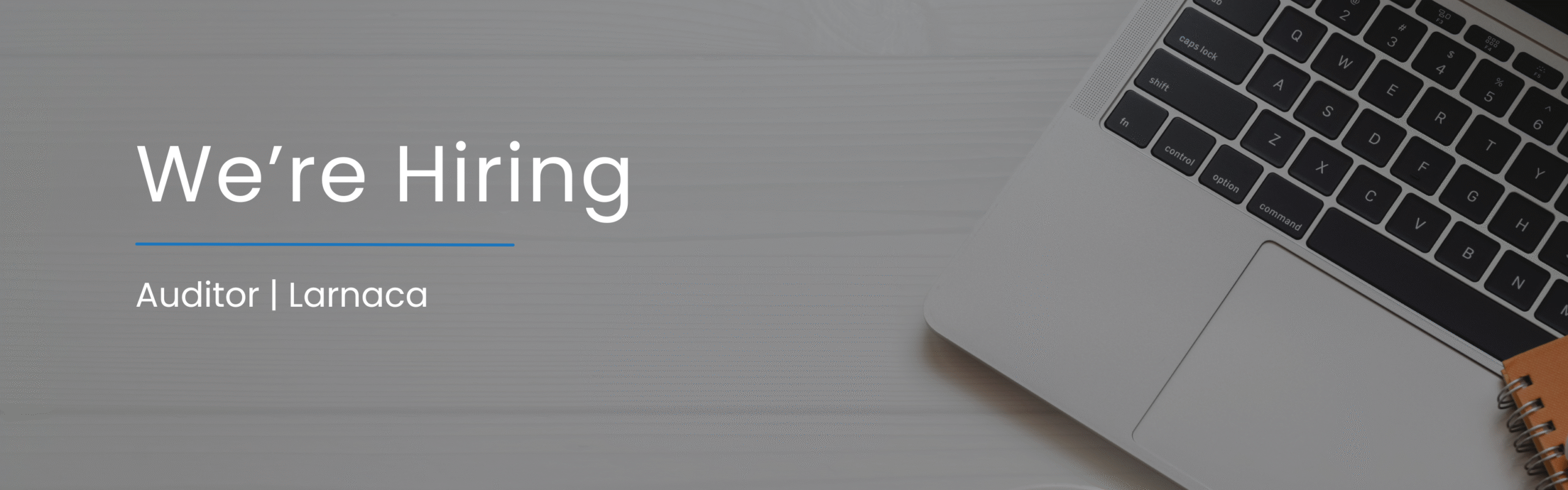 PREDEEVO hiring Auditor in Larnaca
